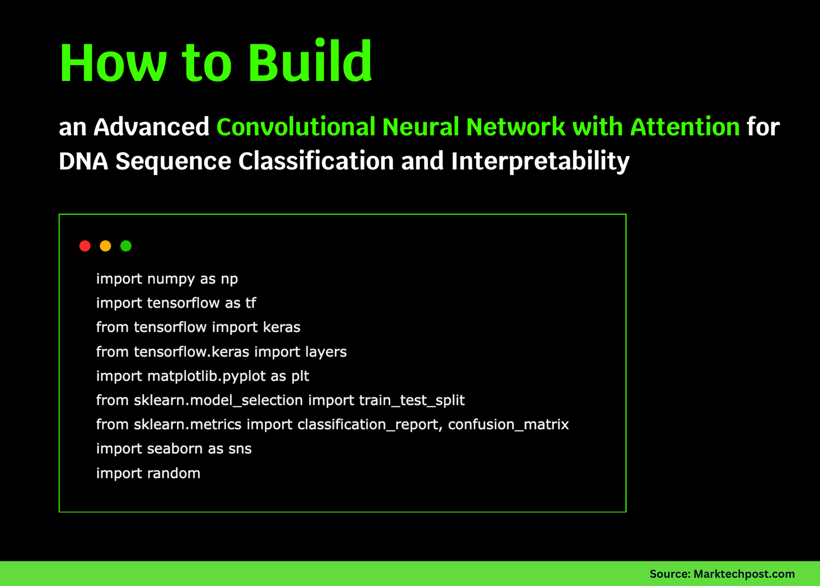 Building an Advanced Convolutional Neural Network with Attention for DNA Sequence Classification and Interpretability