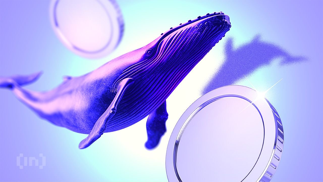 Are Smart Money Traders Signaling More Gains Ahead for Crypto?